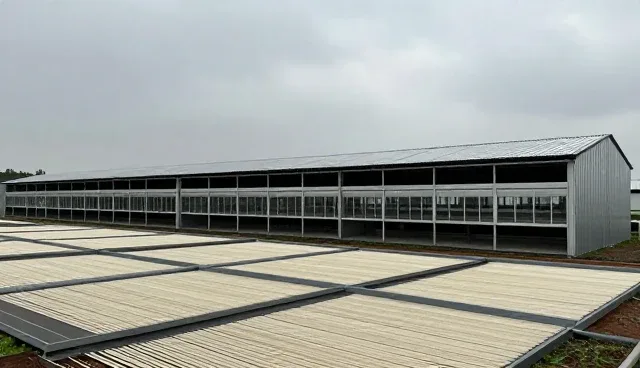生产效率提升中,优化建议如何取舍